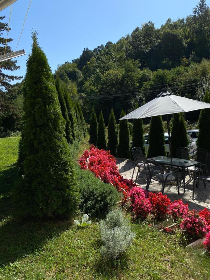 Bed and Breakfast Zeleni Dvor Ribarska Banja Exterior foto
