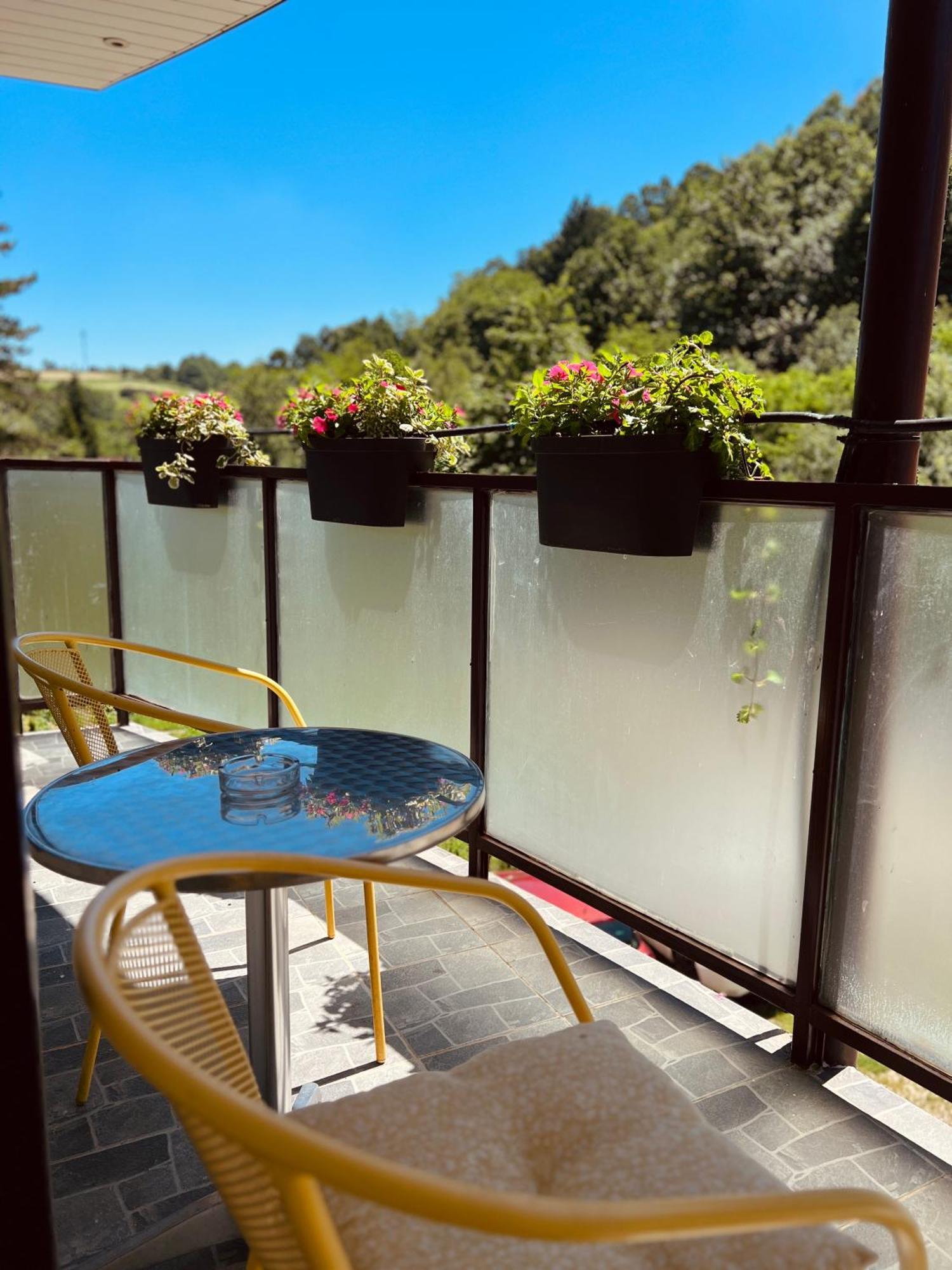 Bed and Breakfast Zeleni Dvor Ribarska Banja Exterior foto