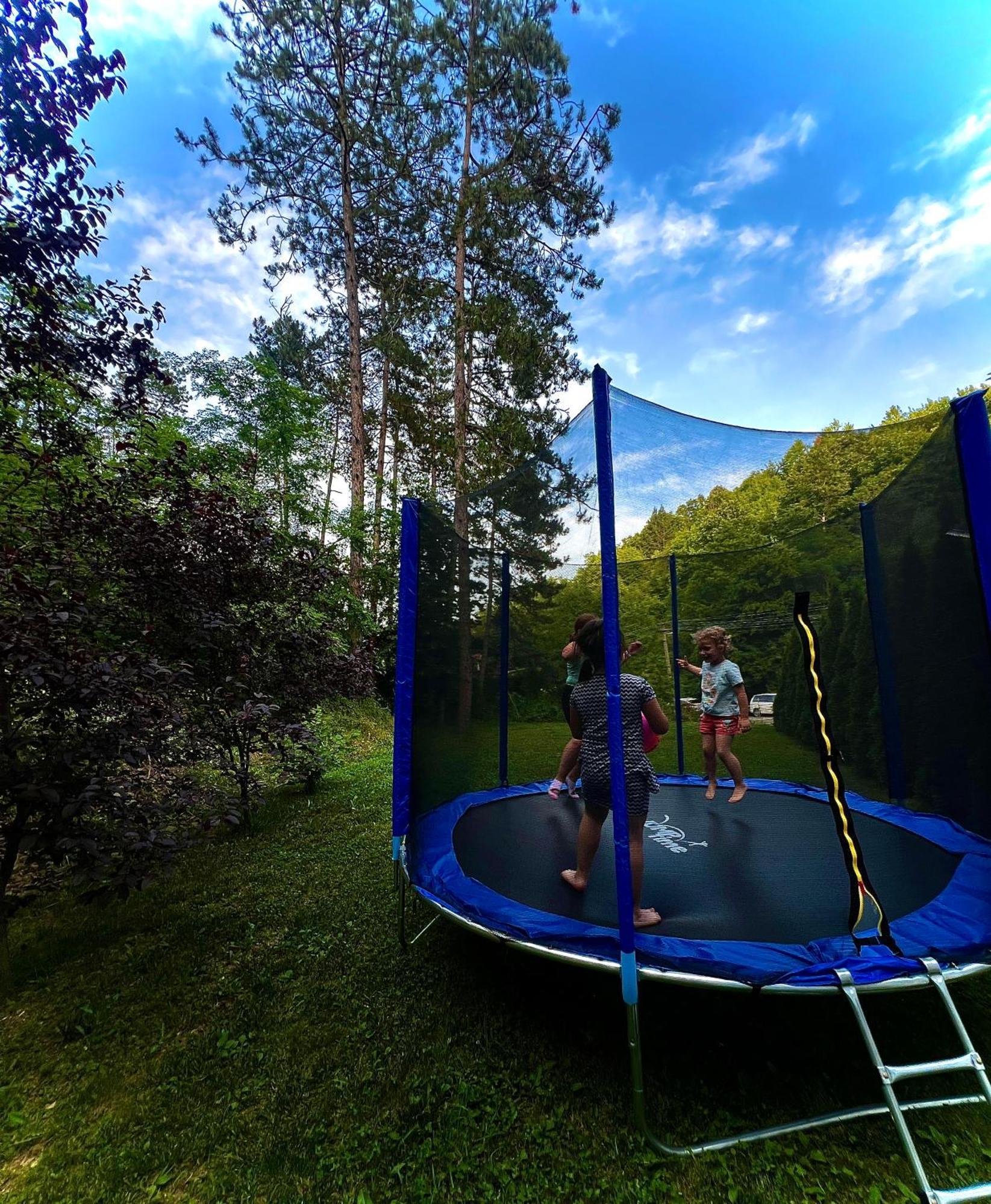 Bed and Breakfast Zeleni Dvor Ribarska Banja Exterior foto